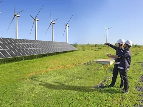 Cánh đồng điện gió đầu tư hàng nghìn tỷ đồng... 'nằm bất động’