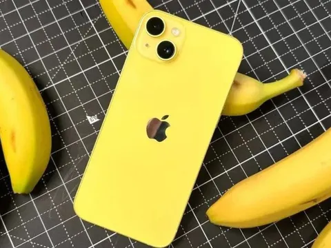 Chuyên gia châu Âu: Hãy tránh xa mẫu iPhone này của Apple, trừ phi gặp giá hời!