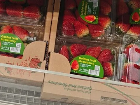 Vì sao dâu tây Hàn Quốc, Nhật Bản giá bạc triệu vẫn bán chạy?