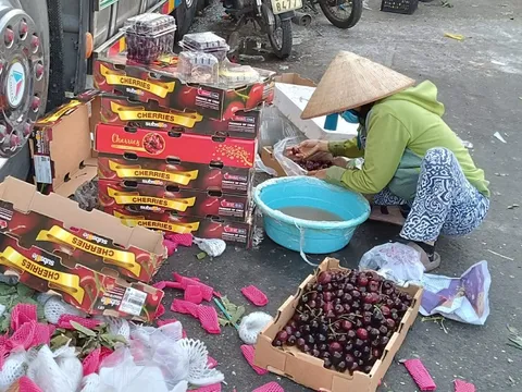 Sự thật về cherry siêu rẻ “bao ngon”