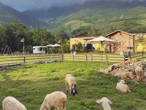 Tp.Đà Nẵng: Chấn chỉnh khu du lịch tự phát thu phí người dân