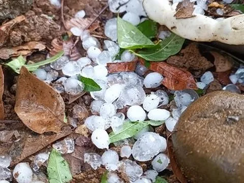 Mưa đá, lốc xoáy “càn quét” huyện miền núi Nghệ An