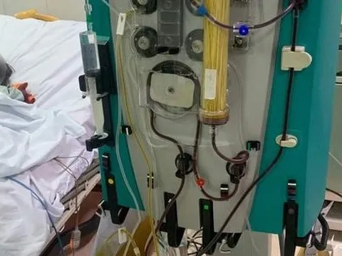 Hy vọng mới cho các bệnh nhân ngộ độc cá chép ủ chua ở Quảng Nam