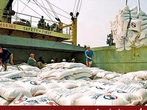 Xuất khẩu gạo năm nay có thể đạt 7 triệu tấn