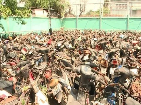 Đấu giá gần 1.000 xe máy vi phạm ở TPHCM với giá khởi điểm bình quân 500.000 đồng/xe