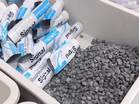 Trả tự do cho 4 tiếp viên hàng không