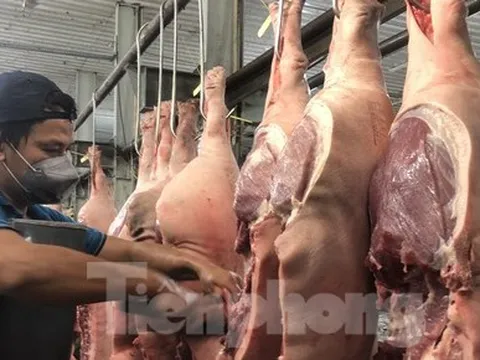 Giá thịt heo lao dốc