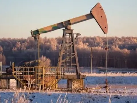 Châu Âu tìm ra nguồn cung thay thế dầu thay Nga với giá rẻ bất ngờ, mạnh tay nhập khẩu hàng triệu thùng dầu mỗi ngày