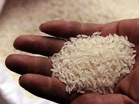Giá gạo xuất khẩu Việt Nam cao nhất thế giới