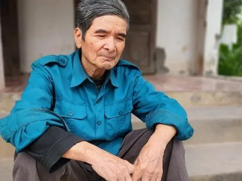 Bão giá thức ăn chăn nuôi: Nhiều làng nghề nuôi lợn trước nguy cơ xóa sổ