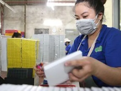 Hai phương án tiền lương tính đóng BHXH: Chưa thể ngăn doanh nghiệp lách luật