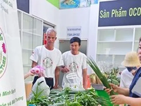 Nông dân chở rau hữu cơ từ Đồng Tháp lên TP HCM bán chỉ 5.000 đồng/bó