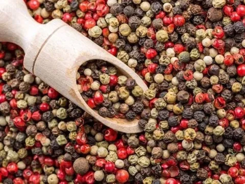 Vì sao giá tiêu tăng nhưng nông dân vẫn chưa muốn bán?