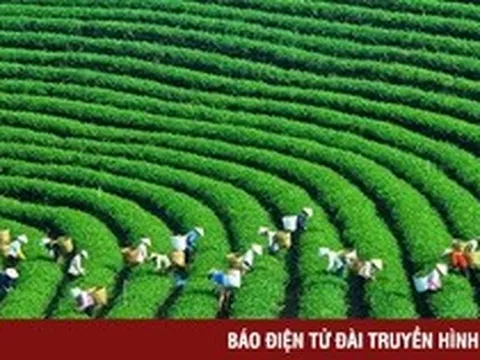 Nữ doanh nhân Việt Nam và chiến lược tăng trưởng xanh