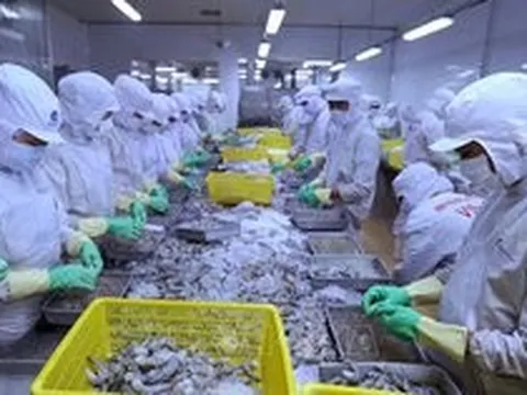 Nhiều cơ hội cho hàng Việt Nam xuất khẩu sang Israel - Bài 1: Sản phẩm xuất khẩu của Việt Nam có nhiều lợi thế