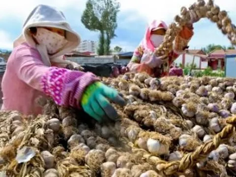 Mặt hàng này của Việt Nam được Trung Quốc ráo riết “săn lùng”, xuất khẩu tăng đột biến 20.000% trong năm 2022