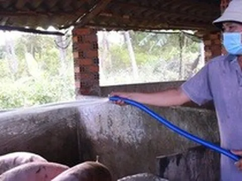 Chi phí tăng, nông dân “treo” chuồng