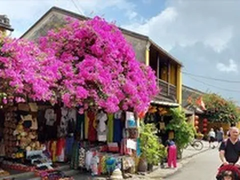 Thường trực Chính phủ: Nâng thời gian lưu trú với khách quốc tế lên 45 ngày