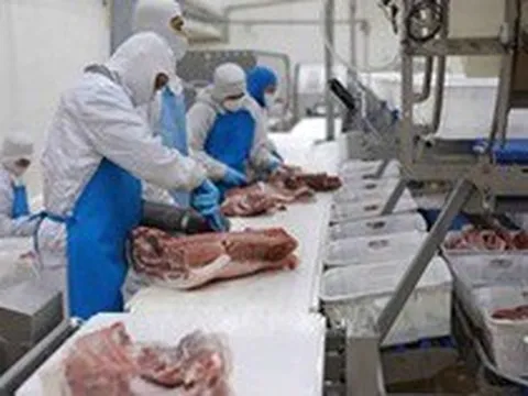 CPI quý I/2023 ước tăng 4,2 - 4,3% so với cùng kỳ năm ngoái