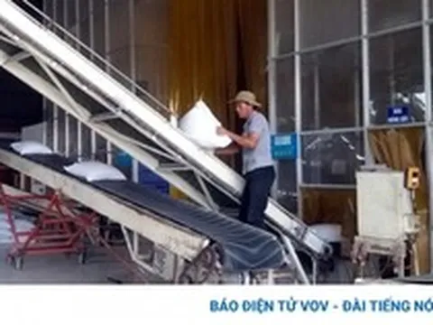 Xuất khẩu gạo hướng đến con số 7 triệu tấn đạt kim ngạch 4 tỷ USD