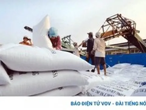 Indonesia dự tính nhập thêm 2 triệu tấn gạo, cơ hội cho doanh nghiệp Việt