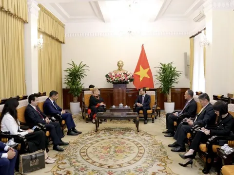 Bộ trưởng Ngoại giao Bùi Thanh Sơn tiếp cựu Tổng thống Chile