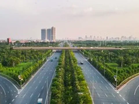 Vụ 'thổi giá cây xanh' Hà Nội: Đường đi của cây trồng nhập lậu từ Trung Quốc