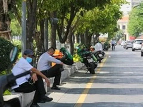 Ảnh: Những tuyến đường rợp bóng cây xanh, giúp TP.HCM giảm bớt nắng nóng gay gắt