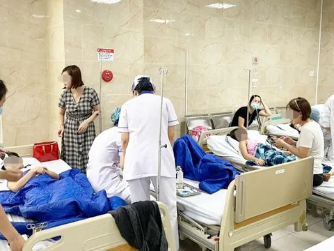 Gần 50 học sinh tiểu học ở Hà Nội nghi bị ngộ độc sau chuyến tham quan