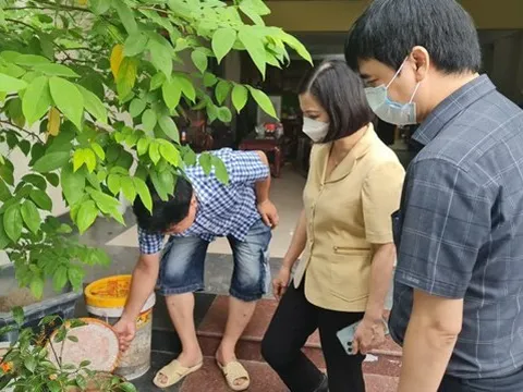 Sốt xuất huyết gia tăng bất thường