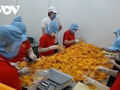 Quý I/2023, thu nhập bình quân của người lao động tăng 578.000 đồng/tháng