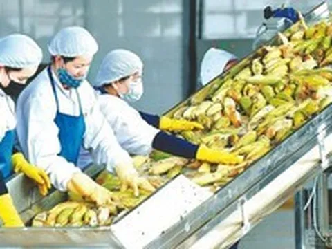 Xuất khẩu nhiều mặt hàng chủ lực giảm mạnh