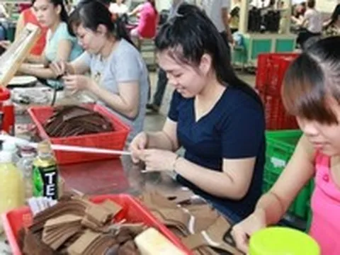 Người rút BHXH một lần ngày càng trẻ