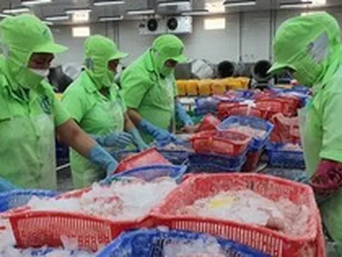 Lý do xuất khẩu thủy sản ‘lao dốc’