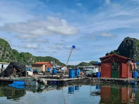 Một chủ tịch huyện liên tiếp bị phê bình vì chậm triển khai công việc, báo cáo sai thực tế
