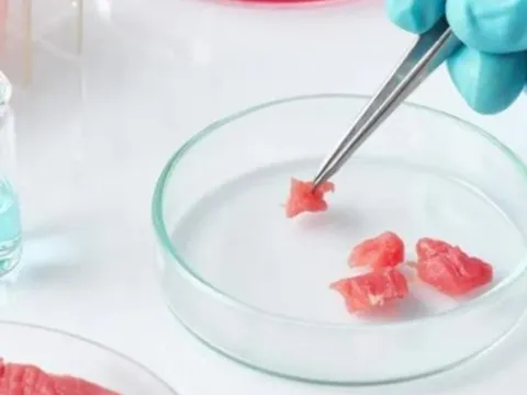 Tranh cãi xung quanh dự luật cấm thịt nhân tạo của Italy