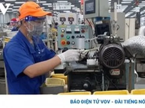 Miễn, giảm thuế cho doanh nghiệp nhỏ và siêu nhỏ là cần thiết