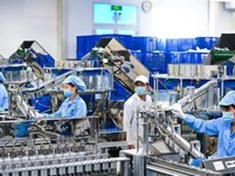 Nguy cơ doanh nghiệp teo tóp