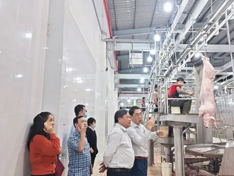 Chủ nhà máy giết mổ heo lớn nhất TP HCM gồng lỗ 2 tỉ đồng/tháng
