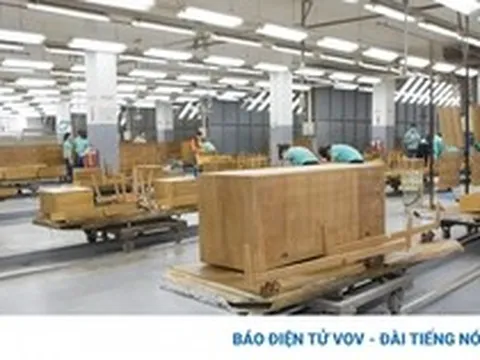 Doanh nghiệp xuất khẩu dăm gỗ “kêu” bị chậm hoàn thuế VAT: Tổng cục Thuế nói gì?