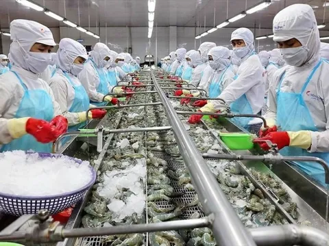 Thuỷ sản Nam Việt bất ngờ giải thể một công ty bất động sản