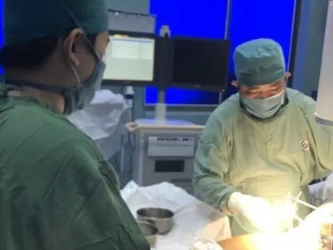 TP.HCM: Nỗ lực cứu thai phụ bị cây xanh trong trường học gãy đổ đè vào người