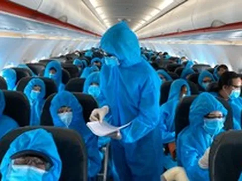 Vụ chuyến bay giải cứu: Cựu trợ lý Phó thủ tướng nhận 4,2 tỉ đồng, nộp lại 4,4 tỉ đồng