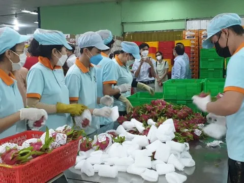 TP HCM lần đầu tiên tổ chức diễn đàn và hội chợ hàng xuất khẩu