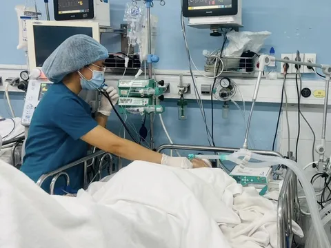 Vụ cây xanh bật gốc trước Trường Trần Văn Ơn: Thai phụ đã qua cơn nguy kịch