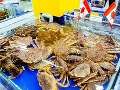 Chi tới 2,72 tỷ USD để nhập khẩu, người Việt ăn tôm hùm, cua, cá ngoại ngày càng nhiều