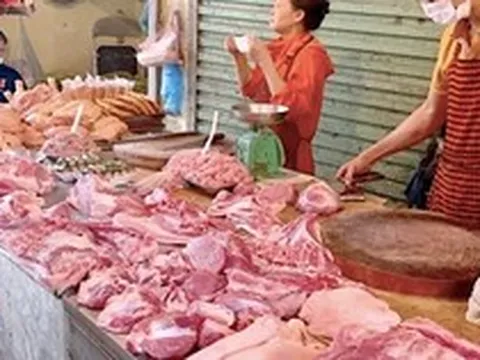 Giá heo hơi chạm đáy: Vì sao người tiêu dùng vẫn phải mua thịt heo giá cao ngất?