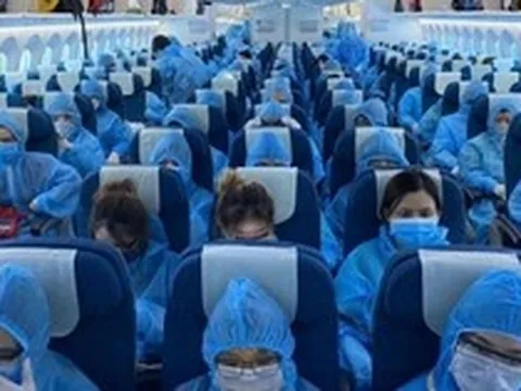 Vụ "chuyến bay giải cứu": 21 cán bộ nhận hối lộ tổng cộng hơn 177 tỷ đồng