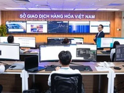 Thị phần môi giới hàng hóa ở Việt Nam ra sao?