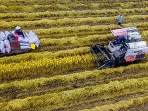 Tỉnh miền Tây chưa đầy 20 tuổi có tăng trưởng quý cao nhất cả nước
